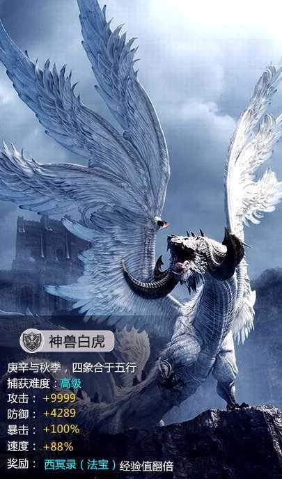 日常照片拼图