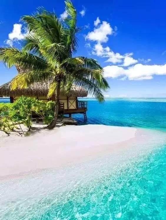 海天节是什么民族的节日？游戏画面