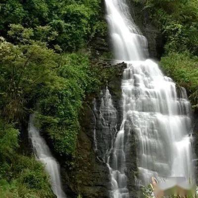青岛胶州:打造便捷信息平台,为“归雁”找到归宿